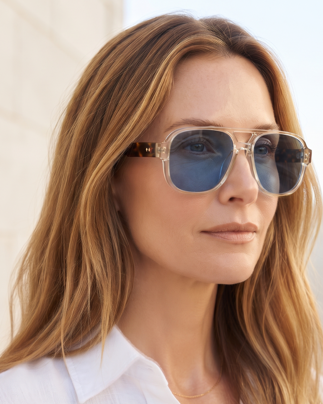 The Curator Aviator